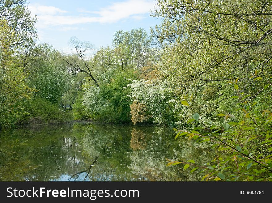 Spring On The Bank Of A Pond