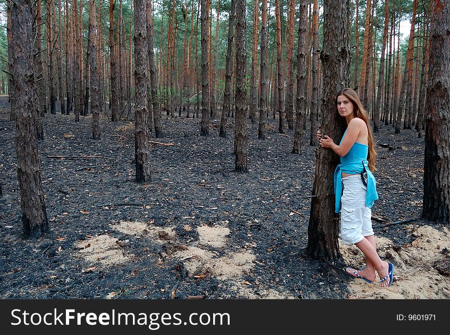 Sorrowful girl on a background the consequences of forest fire. Sorrowful girl on a background the consequences of forest fire