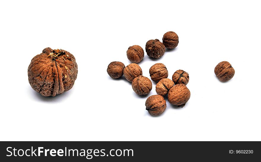 Few walnuts on the white background.