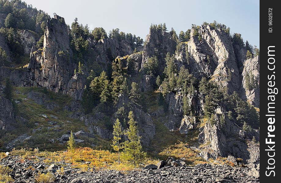 The Rocks And Larches