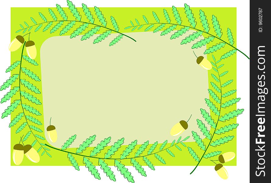 Acorns And Ferns