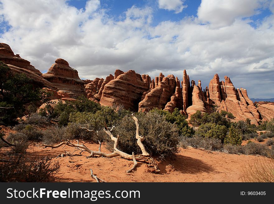 Arches Park Columns Of Eroded Rock