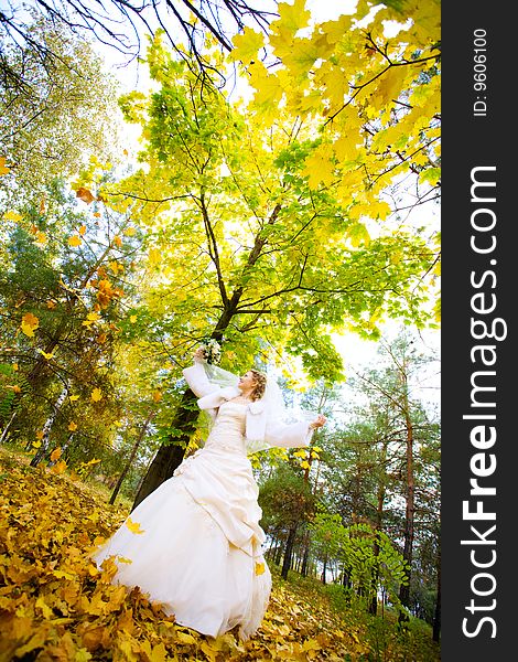 Bride In Autumn