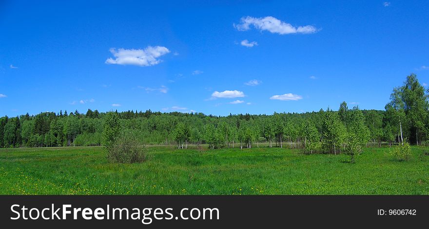 Rural landscape. Nature background.