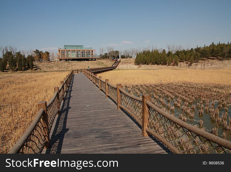 Beijing Olympic Forest Park is located in the northern zone, most cities in the north end of the axis, covering about 680 hectares, is a natural landscape, vegetation-based, sustainable development of ecological zones. During the Olympic Games, it is the delegations to Beijing, athletes, Olympic officials, a special gift - a style of Chinese landscape garden leisure. Parks and the Yangshan Olympian is the theme park. It is also used in water purification, the last natural forest systems, recycling of waste resources, energy-saving construction and a number of eco-technology. Beijing Olympic Forest Park is located in the northern zone, most cities in the north end of the axis, covering about 680 hectares, is a natural landscape, vegetation-based, sustainable development of ecological zones. During the Olympic Games, it is the delegations to Beijing, athletes, Olympic officials, a special gift - a style of Chinese landscape garden leisure. Parks and the Yangshan Olympian is the theme park. It is also used in water purification, the last natural forest systems, recycling of waste resources, energy-saving construction and a number of eco-technology.