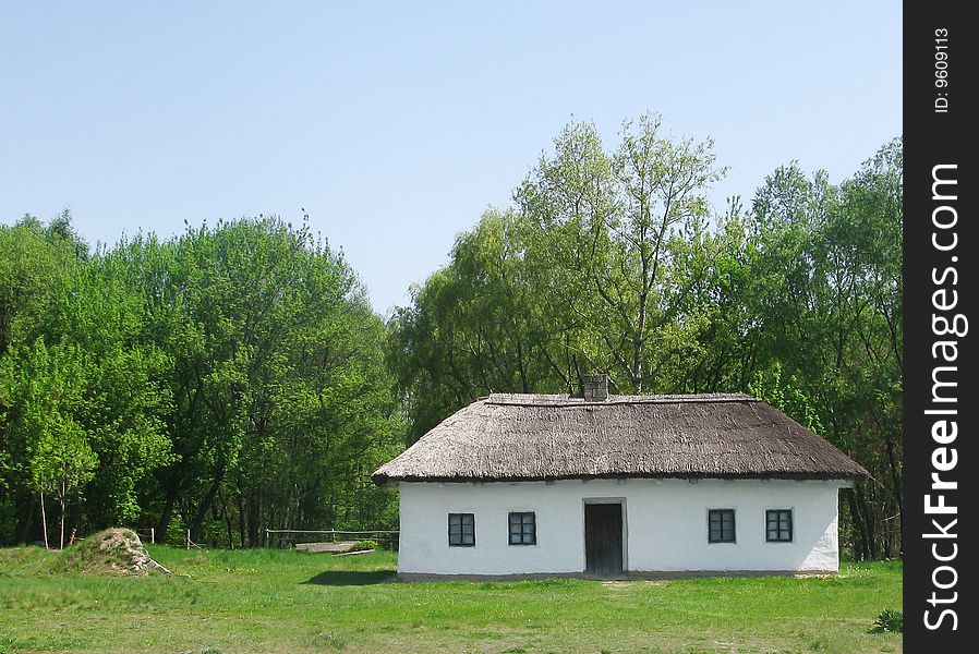 Rural house, white rural house, wattled fence, flowering cherry, Ukrainian village, Ukrainian country