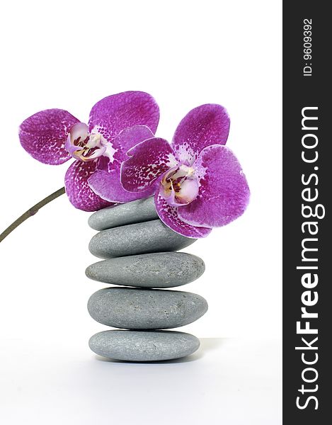 Pyramid of stones and beauty orchid. Pyramid of stones and beauty orchid