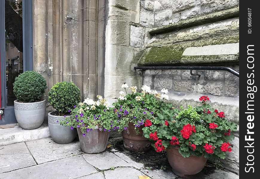 Flower pots with potted flowers next to a stone wall. Flower pots with potted flowers next to a stone wall.