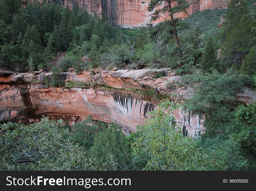 A view of rock cliffs in a forest. A view of rock cliffs in a forest.