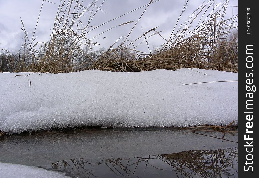 A puddle under a layer of snow, ears of dry grass, in a puddle a reflection of the sky and grass, the ice crust on the side. A puddle under a layer of snow, ears of dry grass, in a puddle a reflection of the sky and grass, the ice crust on the side