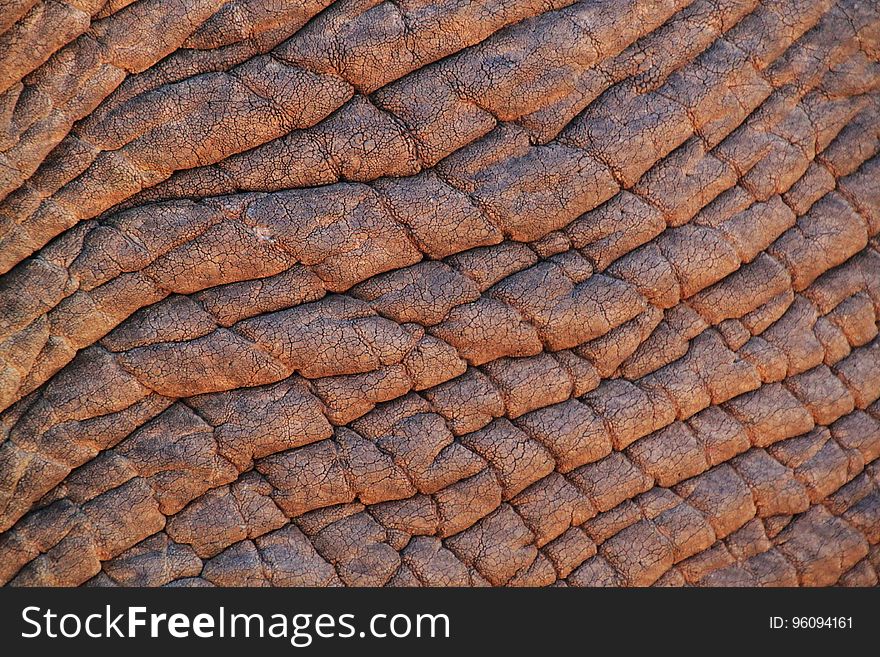 Rock, Wood, Soil, Trunk