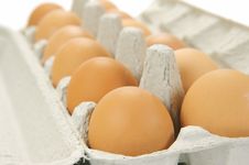 Free Range Eggs Stock Photos Free Range Eggs Stock Photos