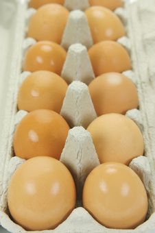 Free Range Eggs Stock Photos Free Range Eggs Stock Photos