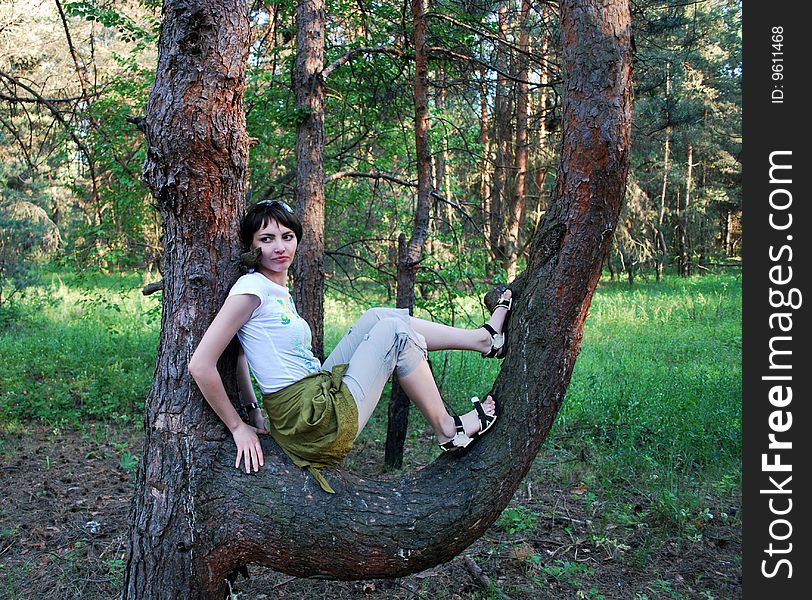 Young girl sitting on a branch of pine. Young girl sitting on a branch of pine