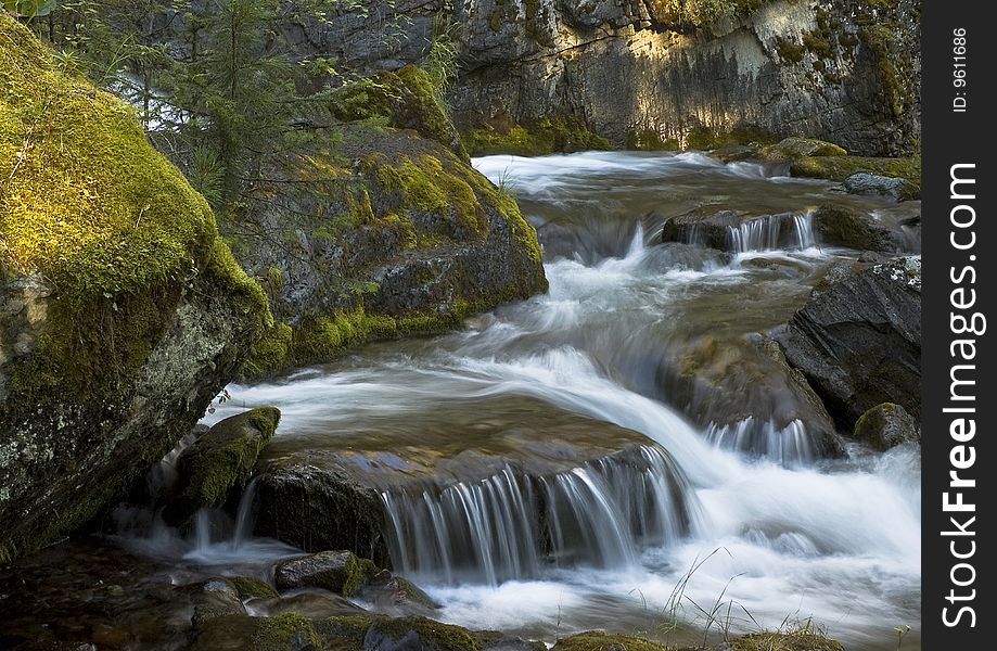 Mountain creek in Altay region in summer