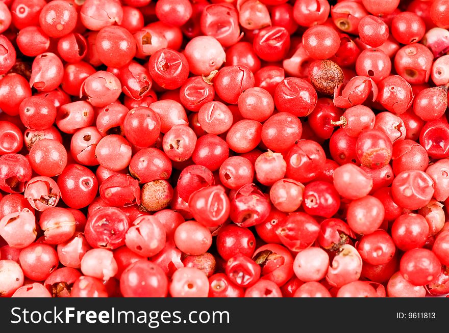 Red pepper isolated as a white background
