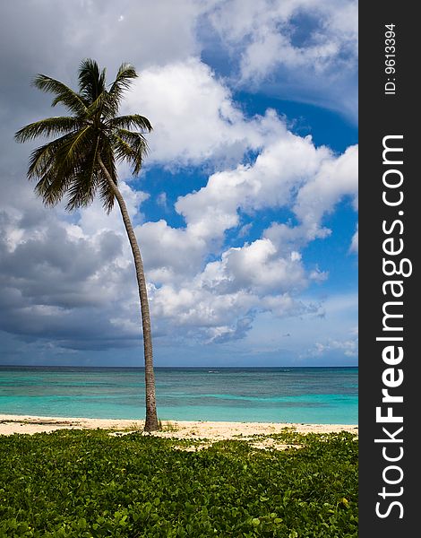 Three palms on the beach island with blue cloudy sky