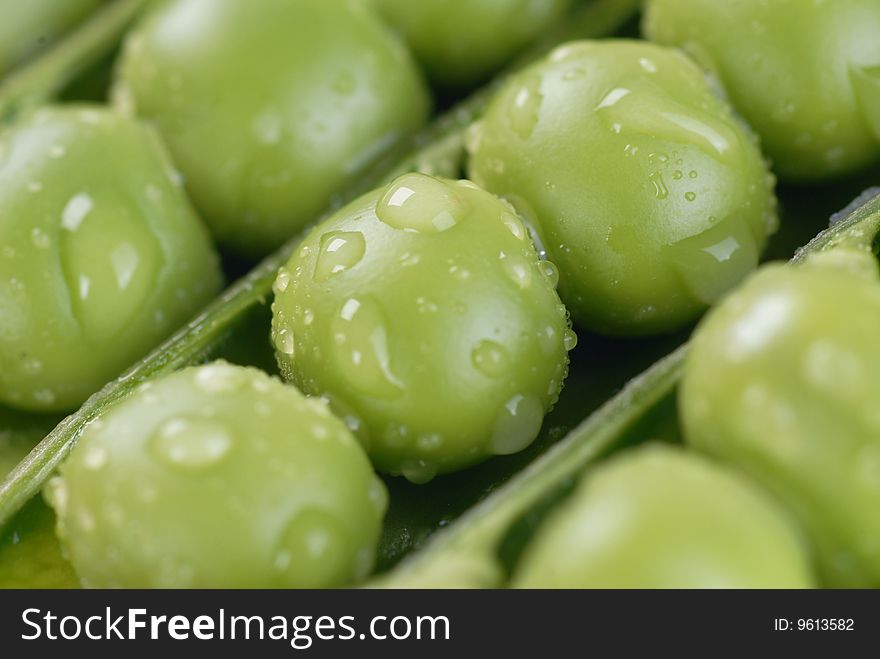 Green peas in pods with water drops