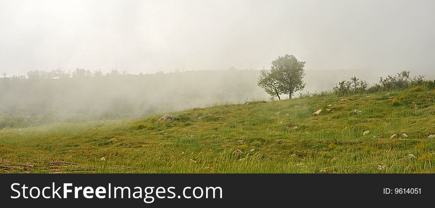 Along Sannine mountain in Lebanon, mist covering the area and a tree standing alone in silence as the place itself. Along Sannine mountain in Lebanon, mist covering the area and a tree standing alone in silence as the place itself