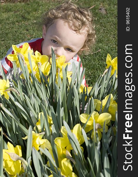 Smelling Daffodils