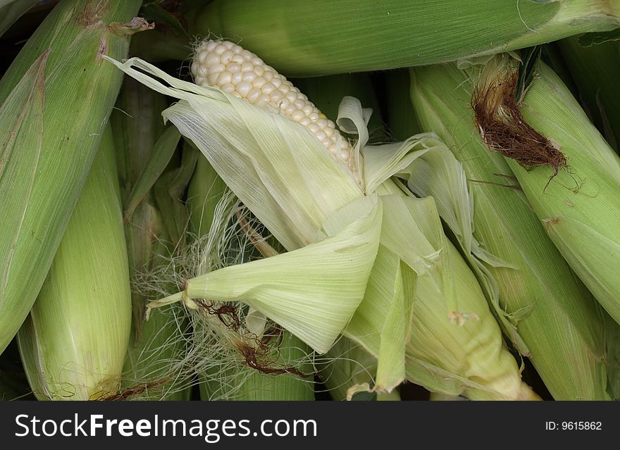 Corn for sale at the market during the spring