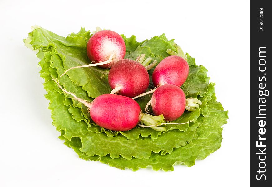 A few red radishes on green lettuce on the white background. A few red radishes on green lettuce on the white background