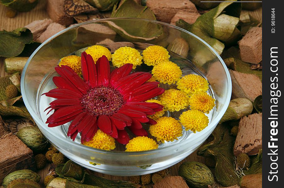 Flowers In Water