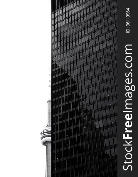Modern Skyscraper In Black And White