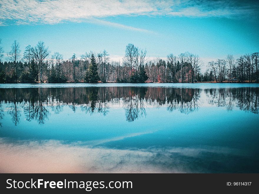 Reflection of the sky and trees on the surface of a lake. Reflection of the sky and trees on the surface of a lake.