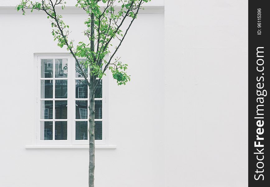 White Wooden Side by Side Window Frame