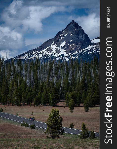 Gray Car On Gray Road Near Forest Under Blue Sky