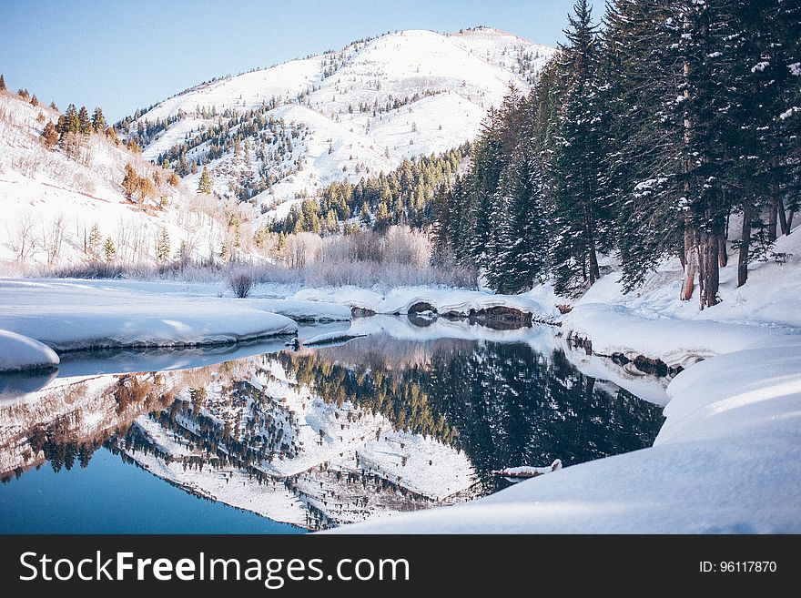 Snowy Forest With Lake Near Mountains during Daytime