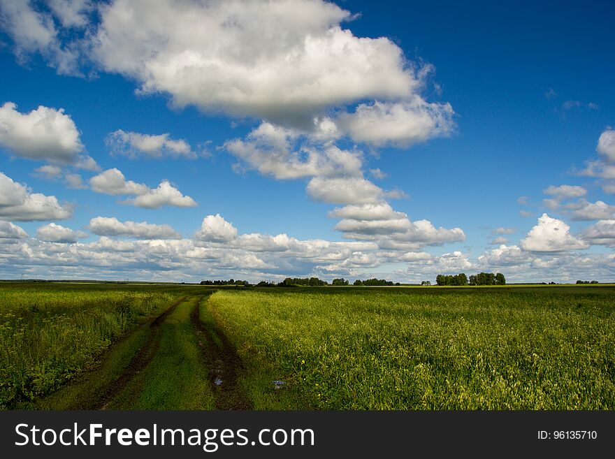 A dirt road through fields with green grass, clouds lined up in a row