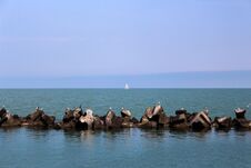 Black Sea, Yacht, Gulls And Cormorants Stock Photography