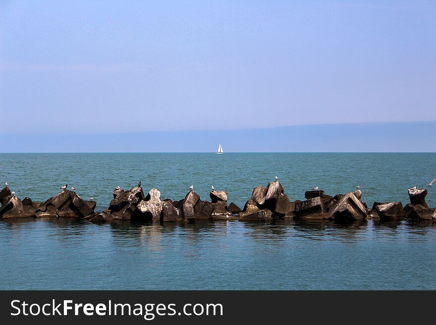 Black Sea, Yacht, Gulls And Cormorants