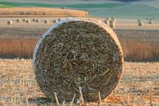 Rolls Of Hay Stock Images Rolls Of Hay Stock Images