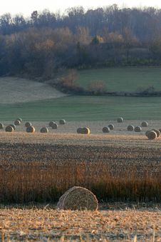 Rolls Of Hay Royalty Free Stock Photos Rolls Of Hay Royalty Free Stock Photos