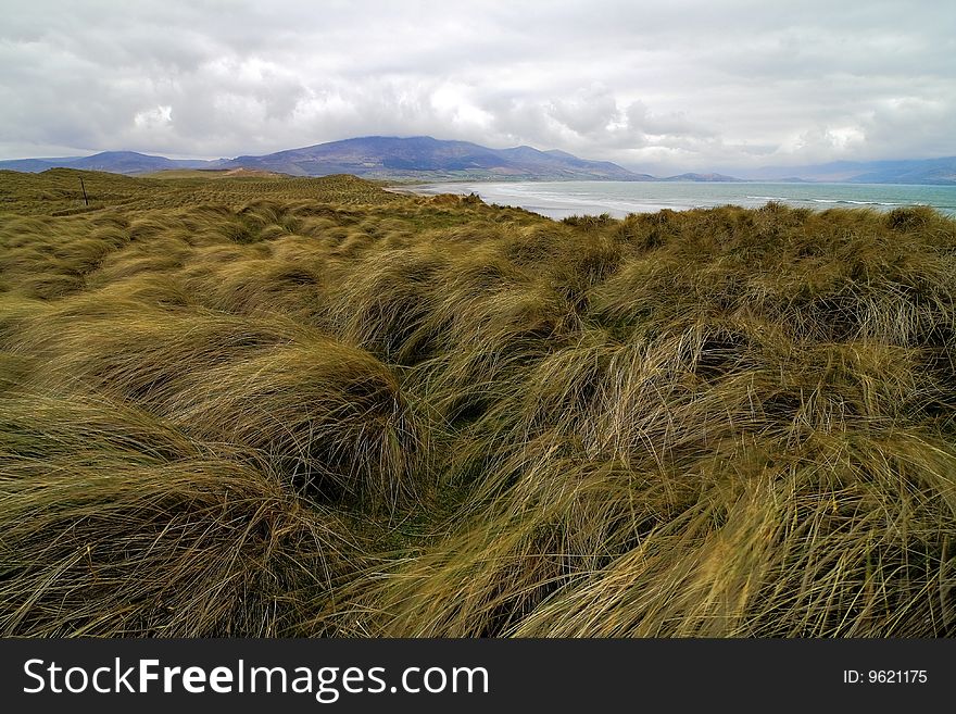 Typical Irish landscape on windy day in Dingle peninsula, Brandon head. Typical Irish landscape on windy day in Dingle peninsula, Brandon head