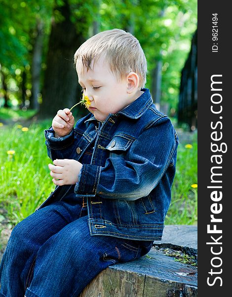 Boy sits on a stub in park and smells a flower