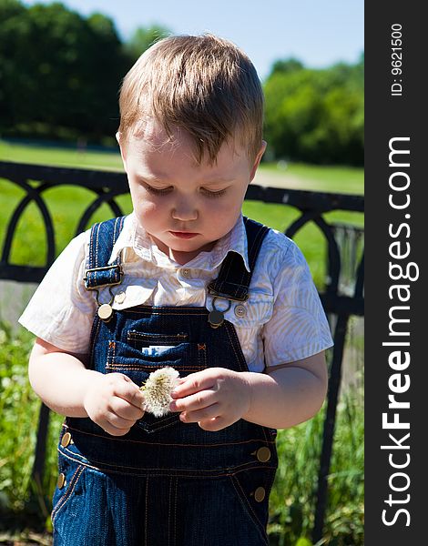 Thoughtful boy with a dandelion in a hand