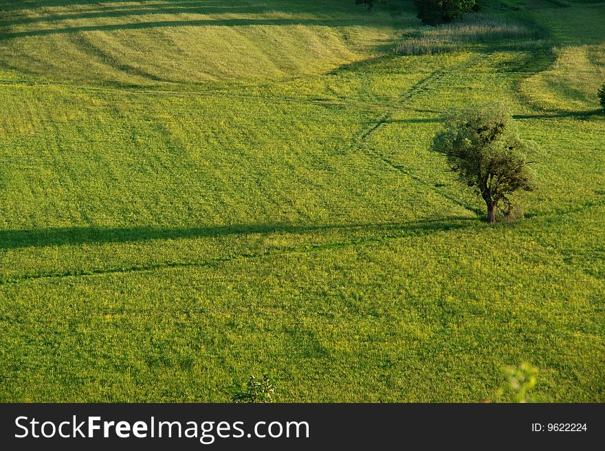 Fields in Spring in Lika Croatia