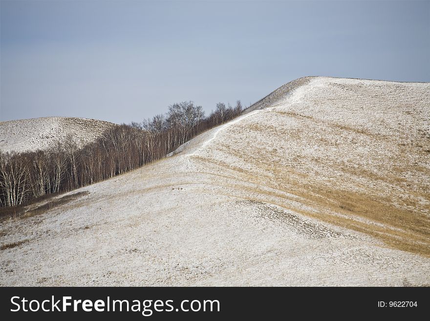 Meadow Under Snow