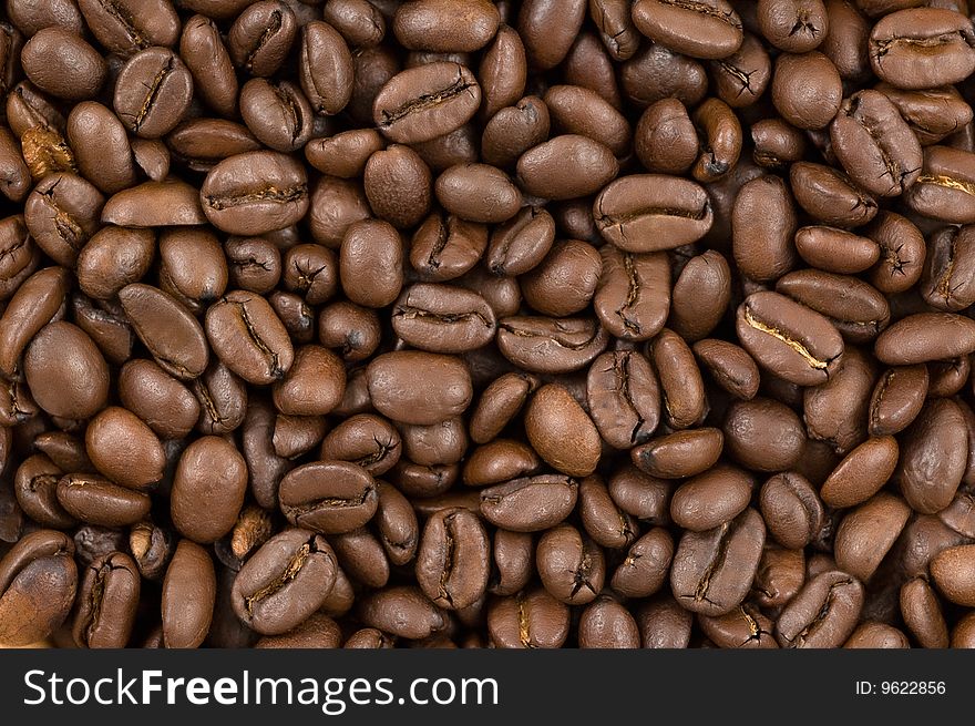 Coffee beans background, close up studio shot. Coffee beans background, close up studio shot.