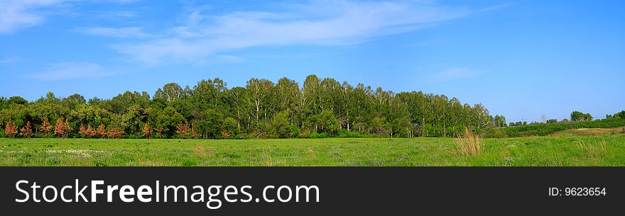 Panorama of a field before a wood and the blue sky