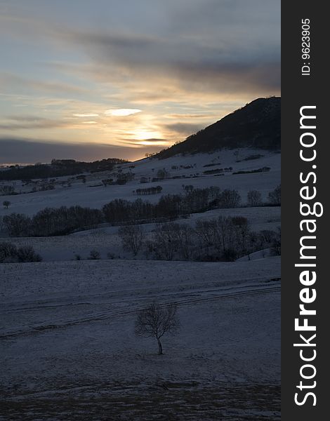 Meadow Under Snow