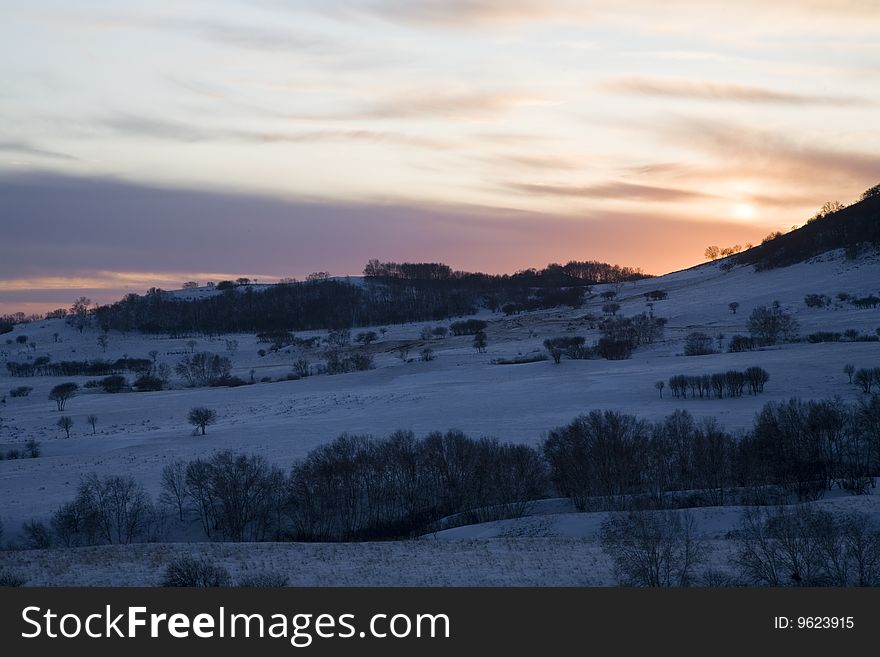 Meadow Under Snow