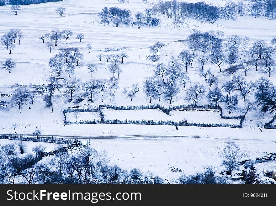 Meadow in winter in the north of china. Meadow in winter in the north of china