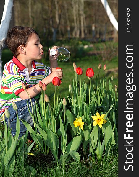 Boy with tulips and soap bubble