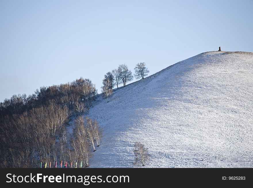 Meadow Under Snow