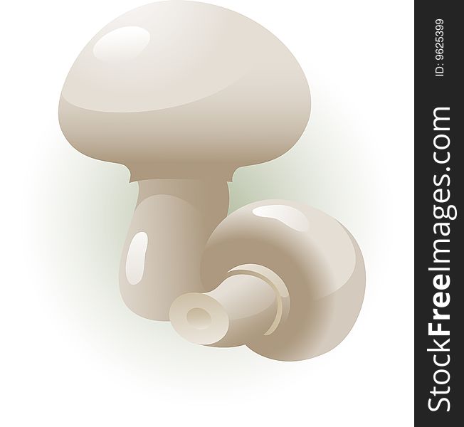 Vector image of champignons, isolated, eps 8
